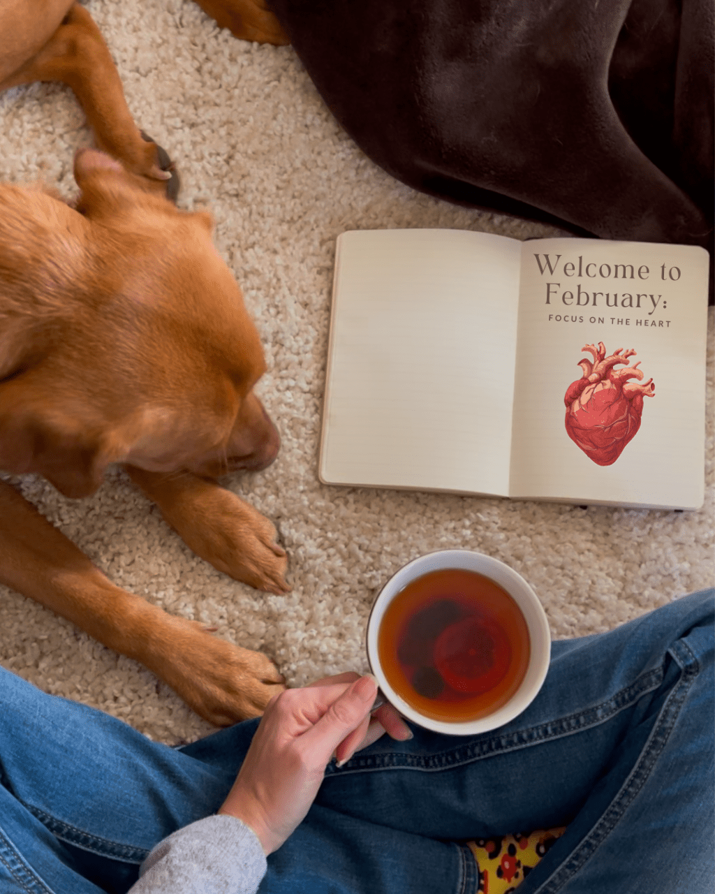 February Recap: Focus on Your&nbsp;Heart