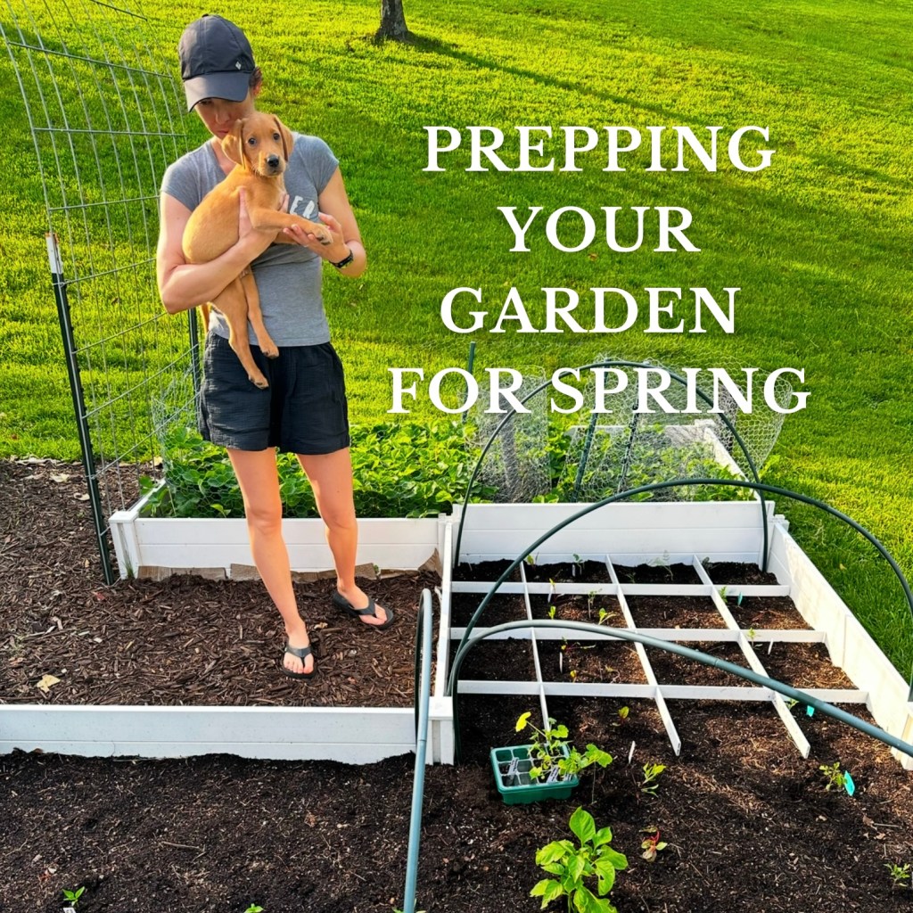 How I’m Prepping the Garden for Spring (+ What to Plant, Forage & Harvest in&nbsp;April)