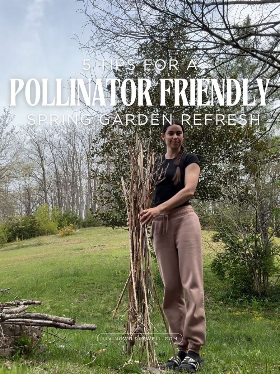 Leaf the Mess! 5 Pollinator-Friendly Tips for Spring Garden&nbsp;Cleanup