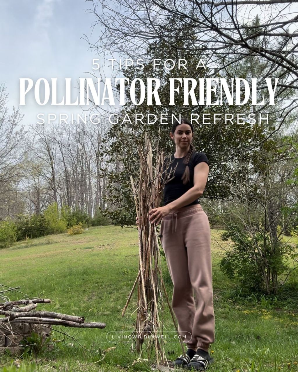 Leaf the Mess! 5 Pollinator-Friendly Tips for Spring Garden&nbsp;Cleanup