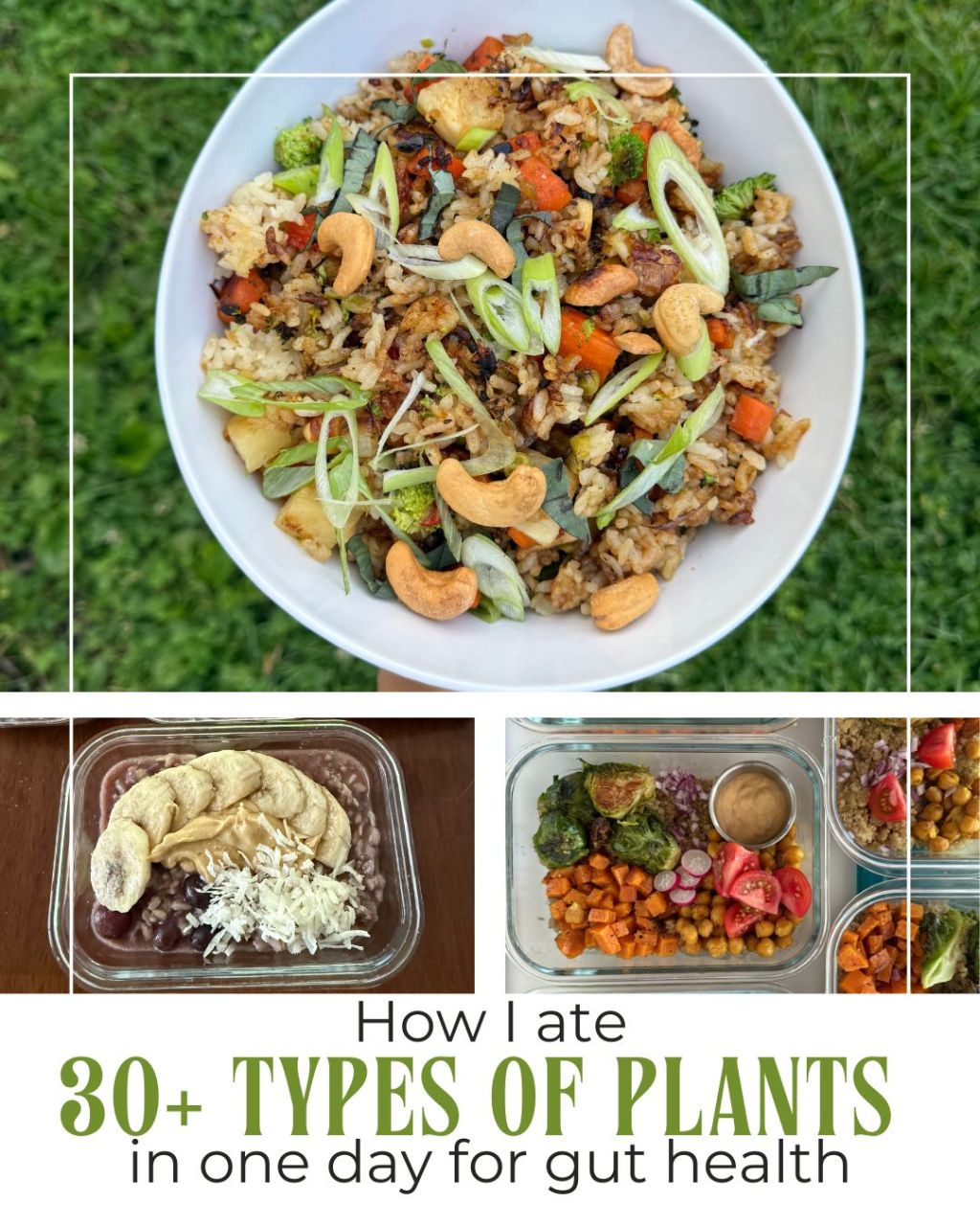 How I Ate 30+ Different Types of Plants in One&nbsp;Day