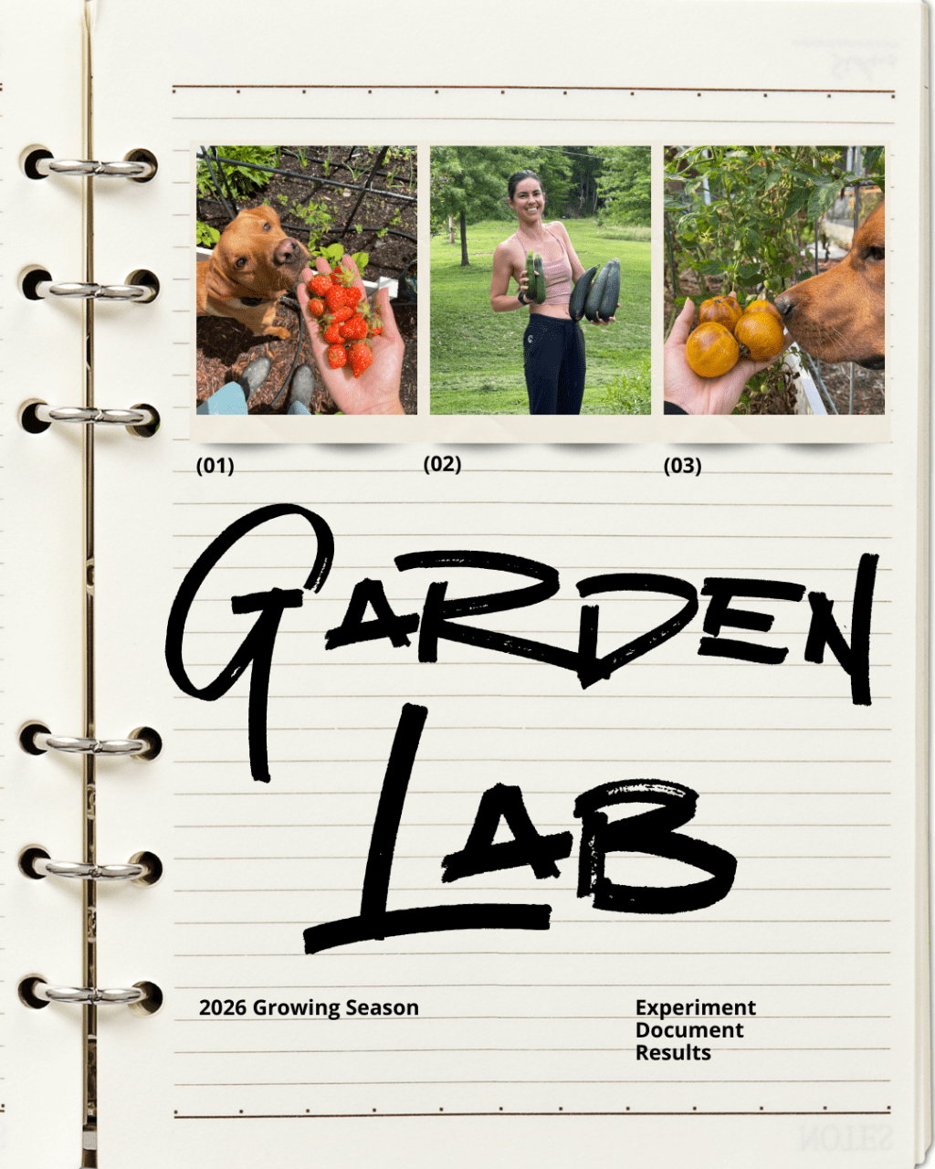 Garden Lab