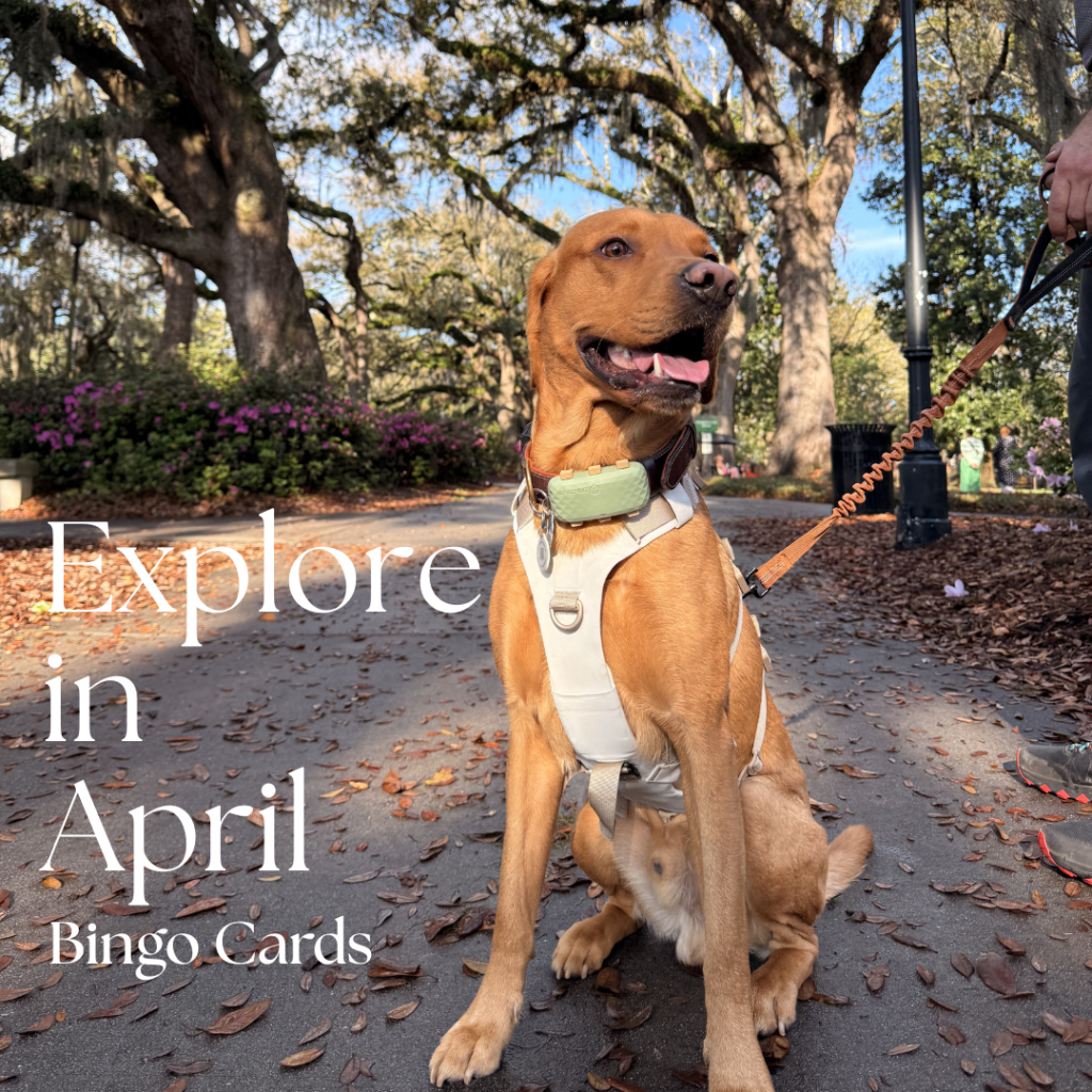 #ExploreInApril26 Bingo Cards!