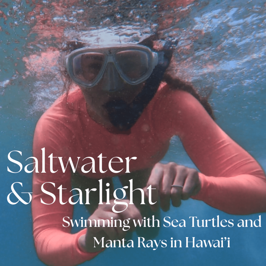 Saltwater & Starlight