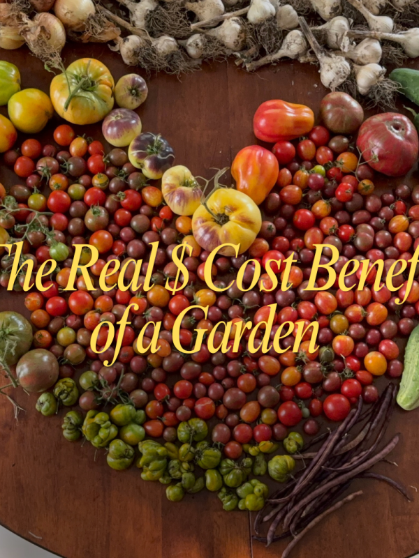 The Real Cost Benefit of a Home&nbsp;Garden
