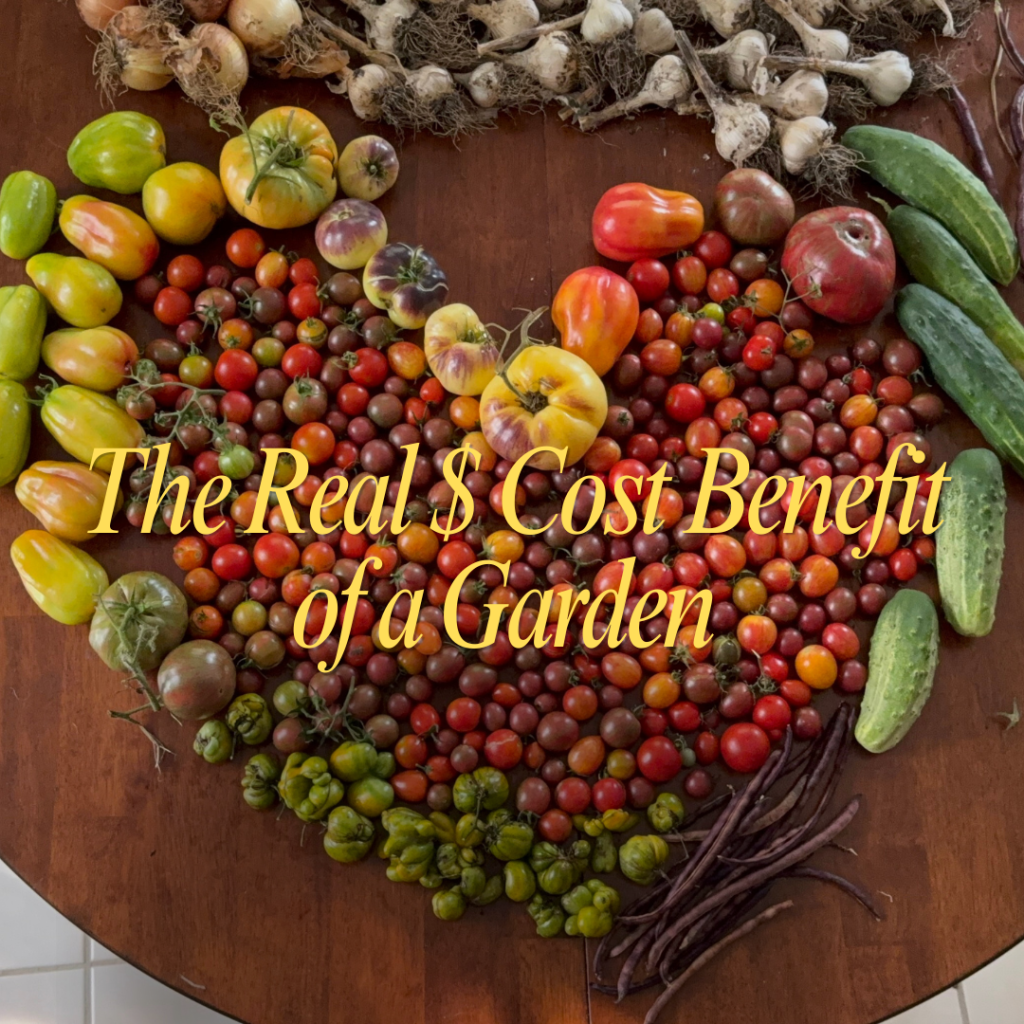 The Real Cost Benefit of a Home&nbsp;Garden